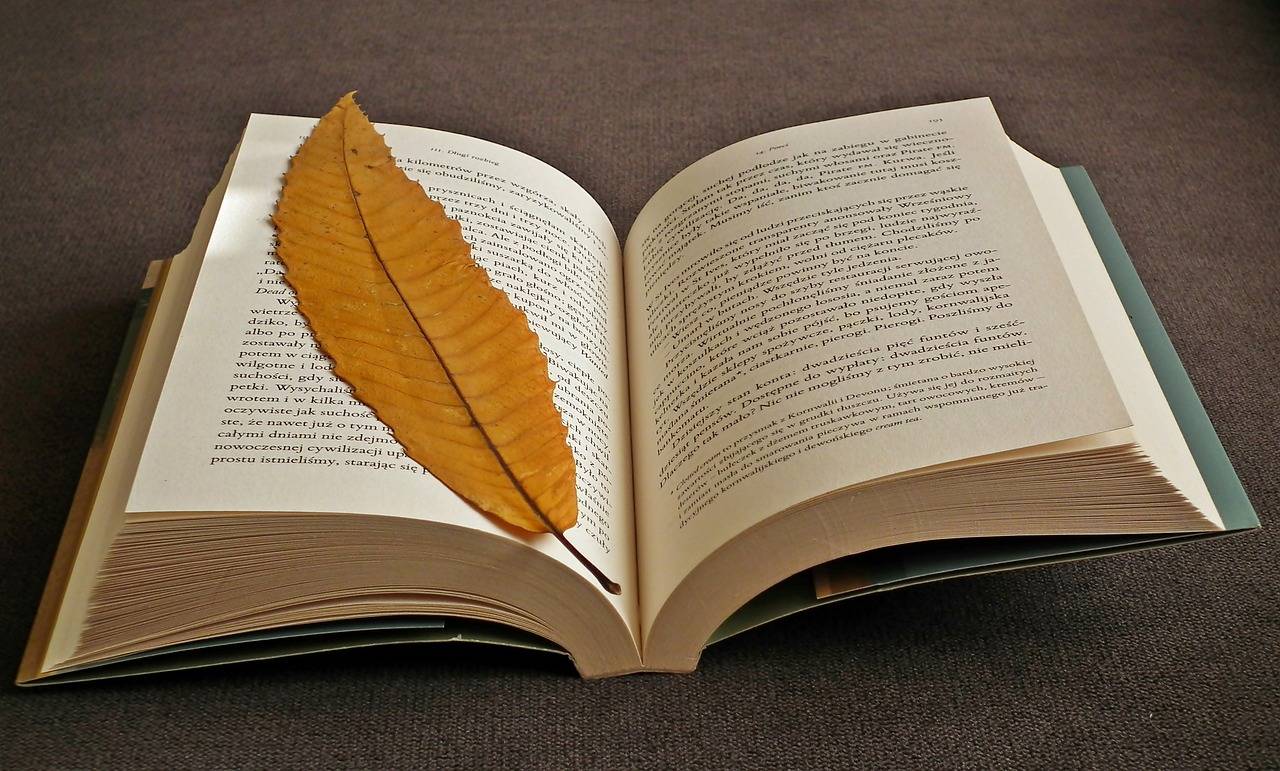 Challenges and Opportunities in Remote Education