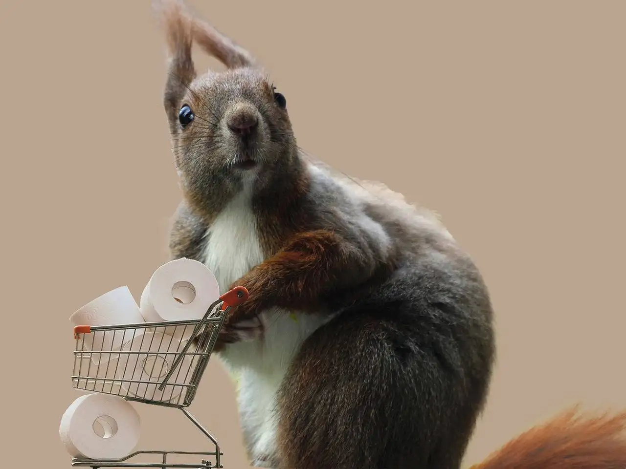 Decoding the Boom in CBD-infused Beauty Products